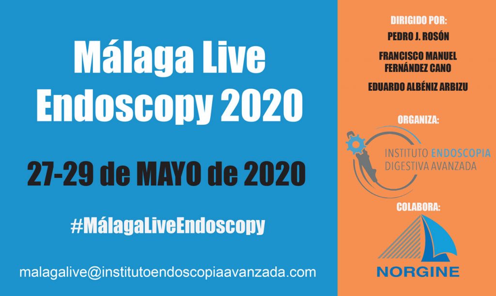 malaga-endoscopy-live-2020